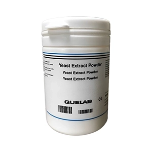 پودر یست اکسترکت yeast extract