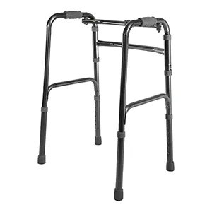 واکر ساده جی تی اس