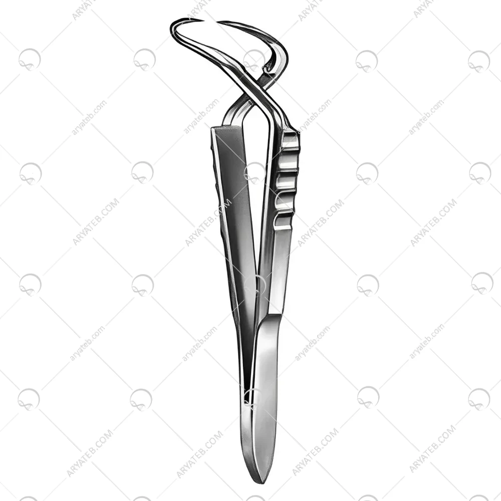 شانگیر فنری