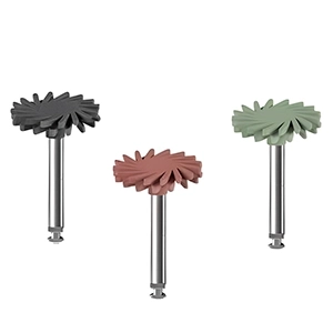 دیسک سیلیکونی خورشیدی آمالگام 3 عددی eve