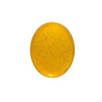 محیط کشت CANDIDA SELEKTIV AGAR