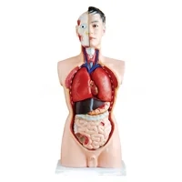 مولاژ نیم تنه مرد