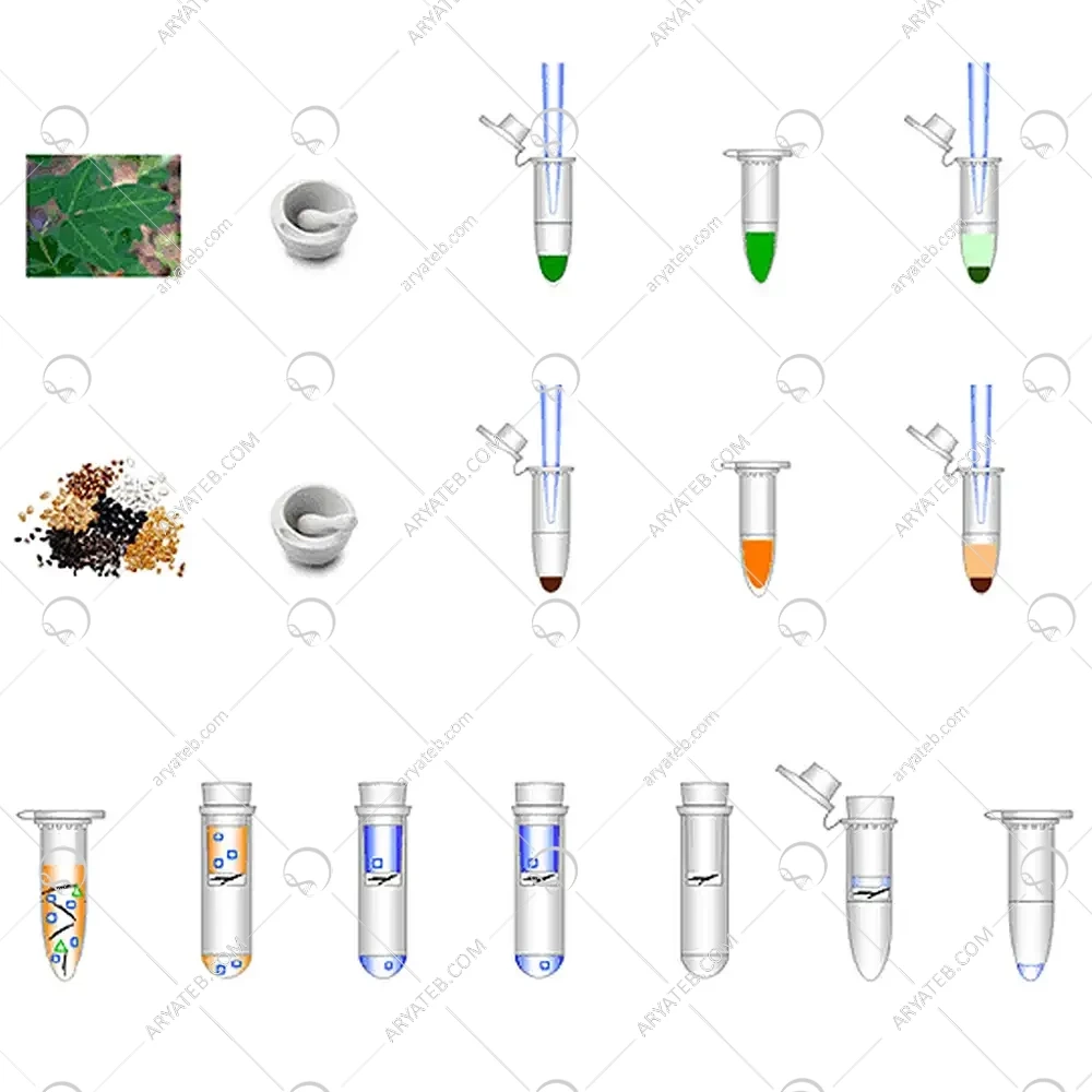 کیت استخراج DNA گیاهان