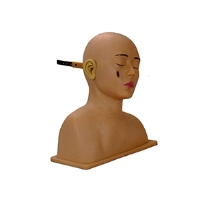 مولاژ معاینه گوش