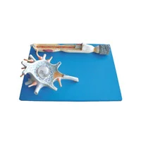 مولاژ سلول عصبی نورون