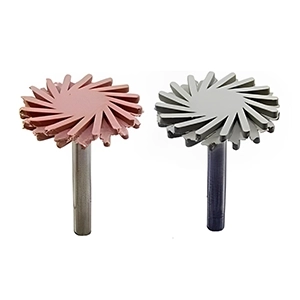 پالیشر خورشیدی EVE