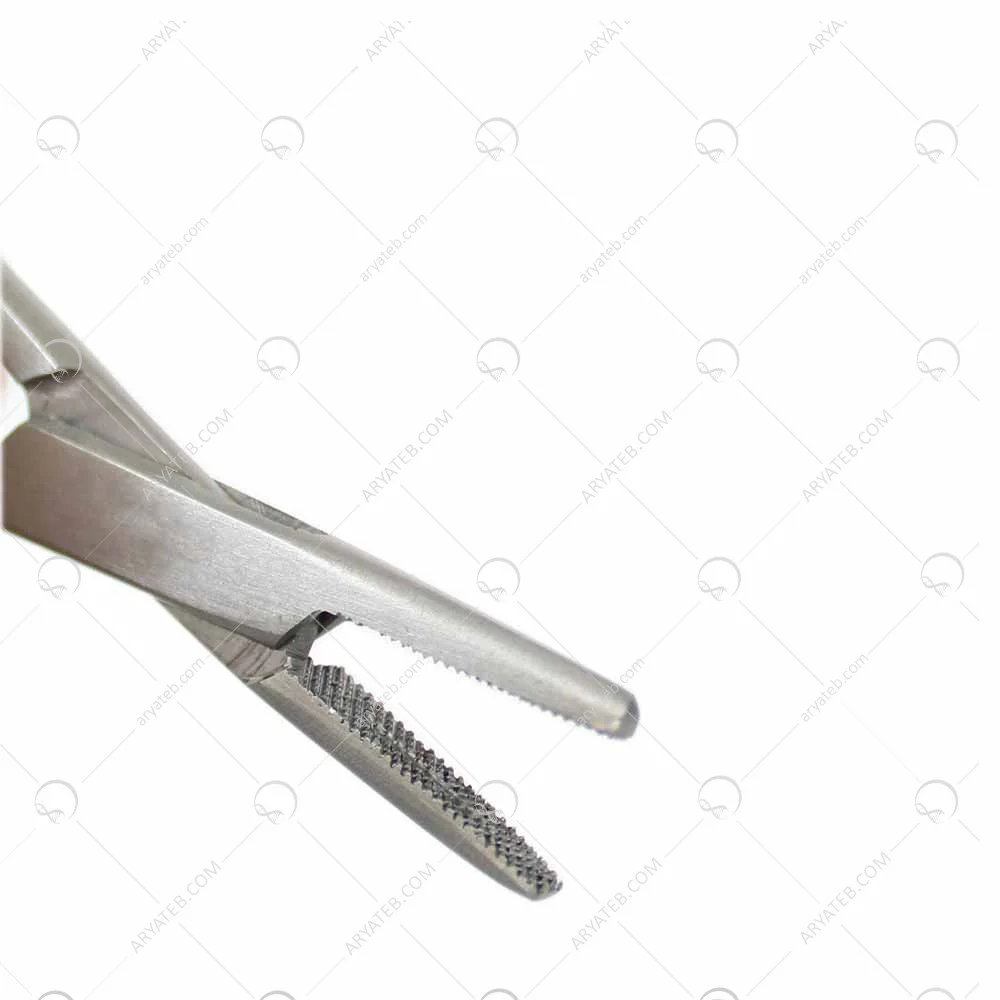 پنس سوزنگیر