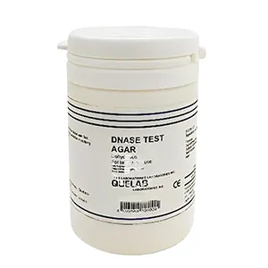 محیط کشت dnase agar