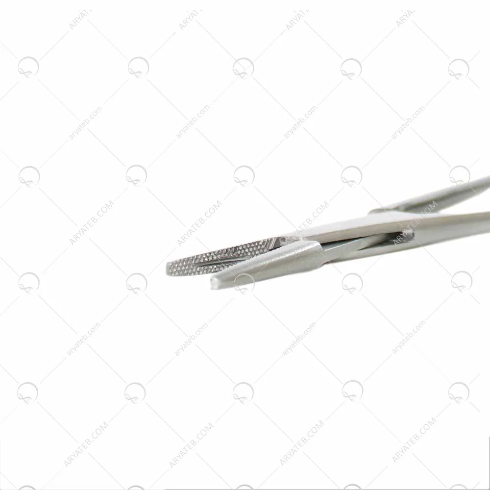 پنس سوزنگیر