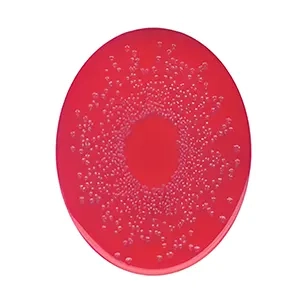 محیط کشت BPLS اصلاح شده