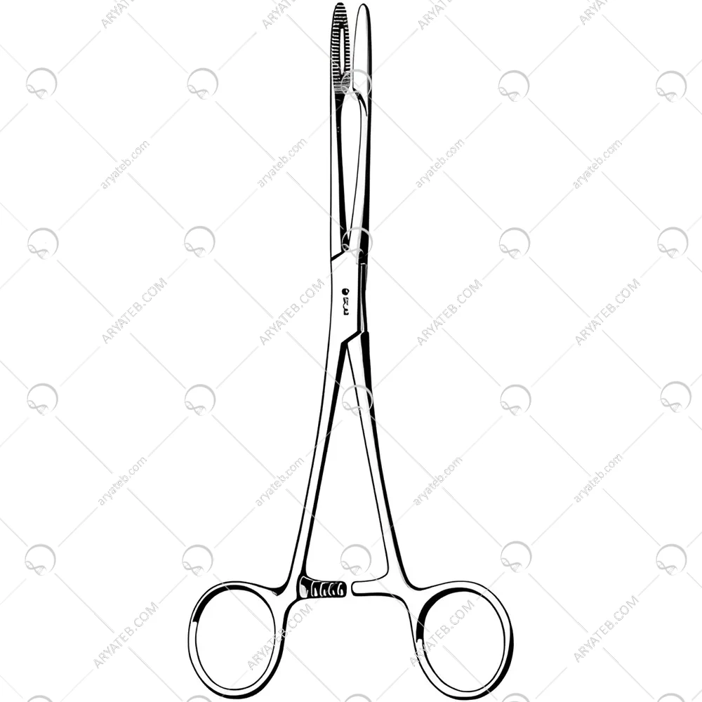 پنس گروس مایر