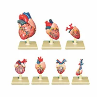 مولاژ قلب حیوانات