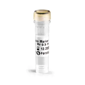 مارکر وزن مولکولی پروتئین ها