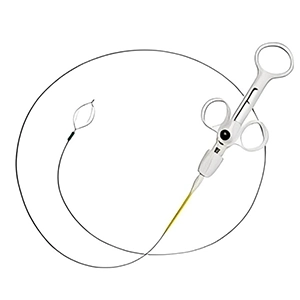 بسکت اورولوژی