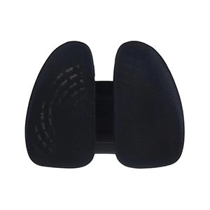 پشتی دینامیکی