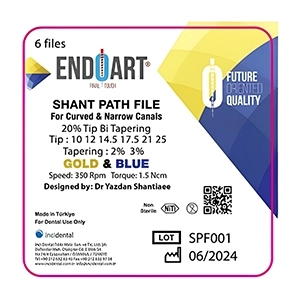 شنت پث فایل اینجی دنتال