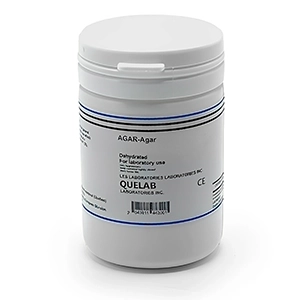 محیط کشت آگار کیولب