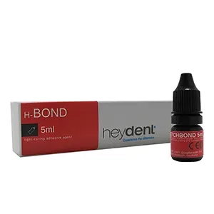 باندینگ هی دنت