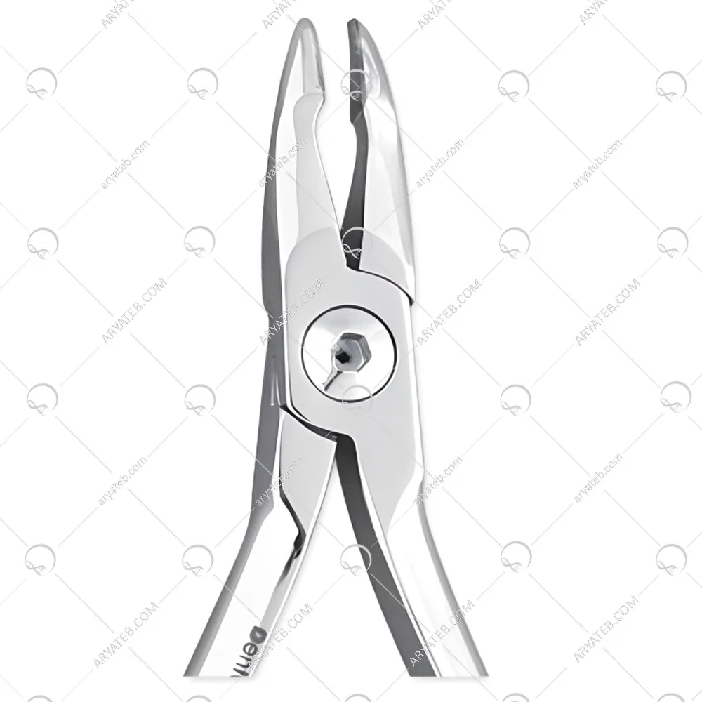 پلایر نی تی بندر