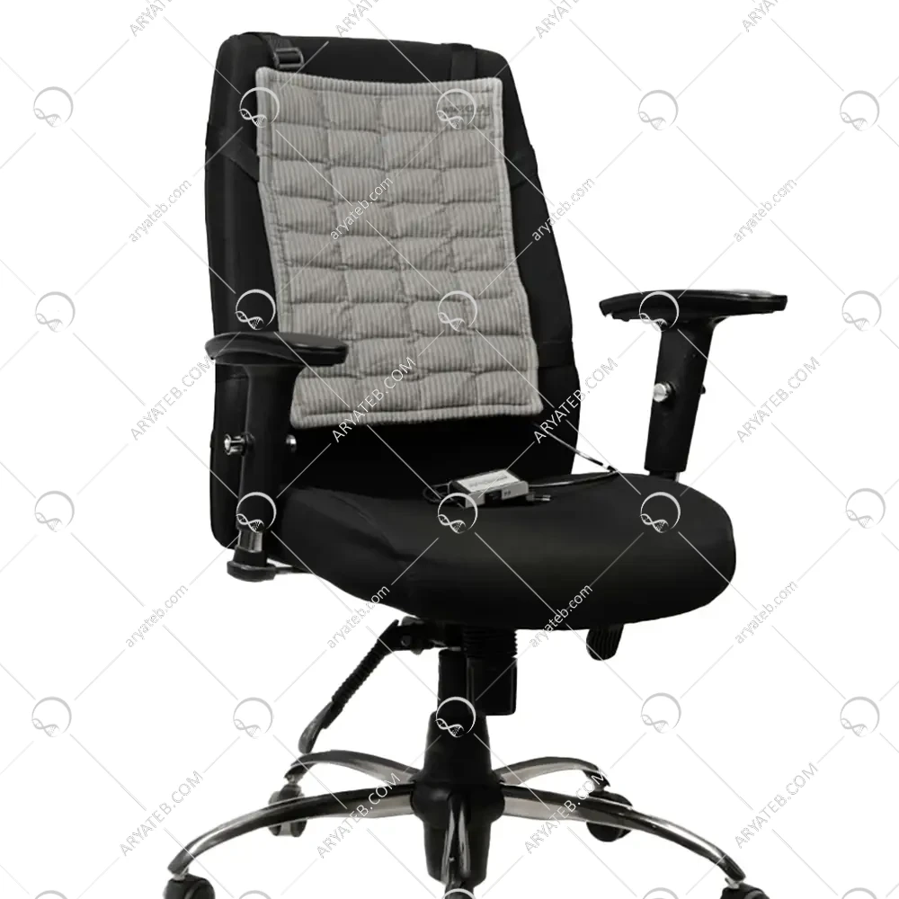 پشتی صندلی برقی نمکی