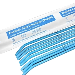 گاید بوژی بزرگسال