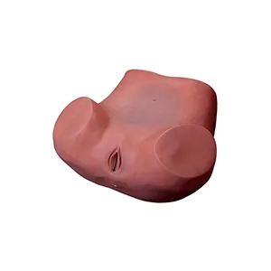 مانکن آموزش پزشکی معاینات زنان