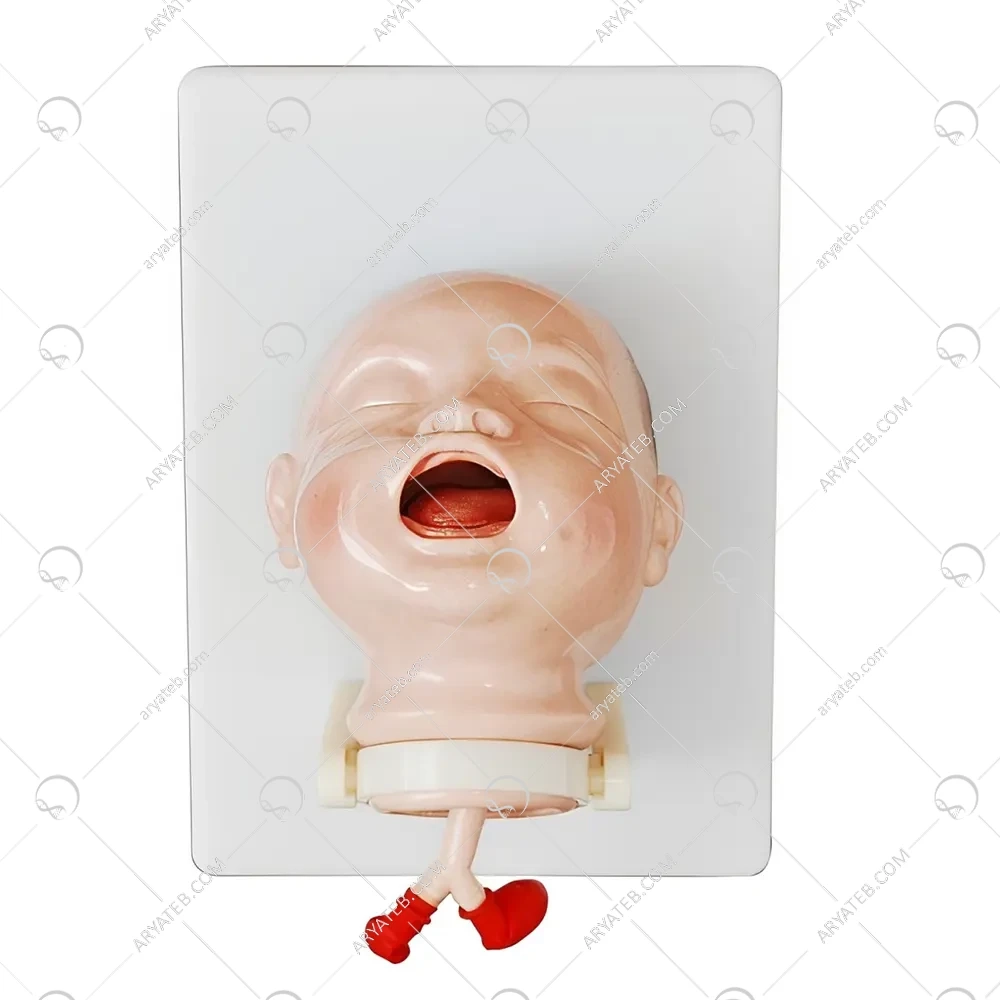 مانکن لوله گذاری نای شیرخوار ( انتوباسیون )