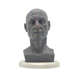 مولاژ طب سوزنی سر