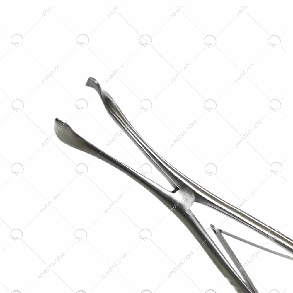 اسپکولوم بینی