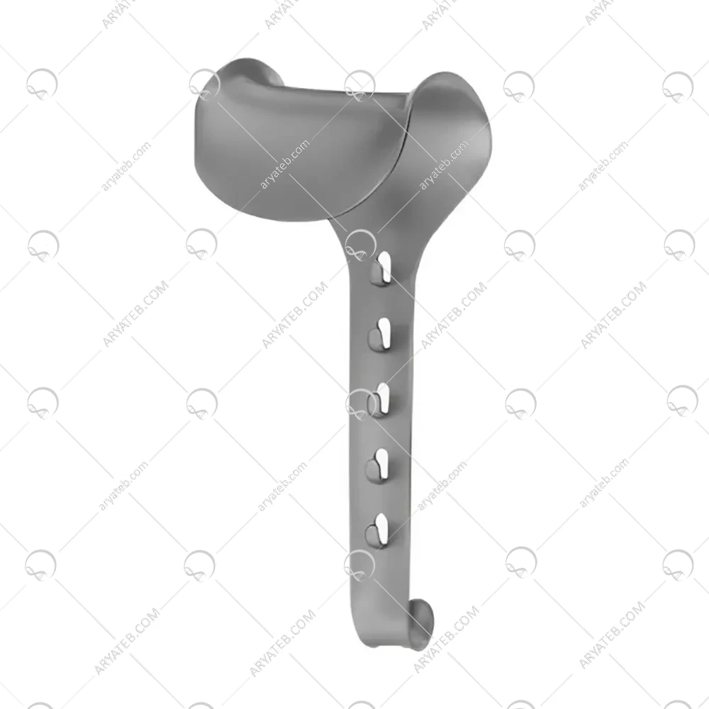 بلید کیریشنر