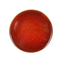 کمپیلوباکتر سلکتیو آگار Campylobacter selective agar