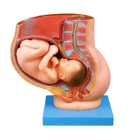 مولاژ حاملگی