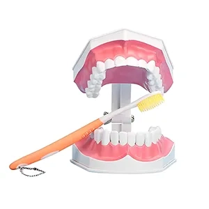 مولاژ آموزش مسواک