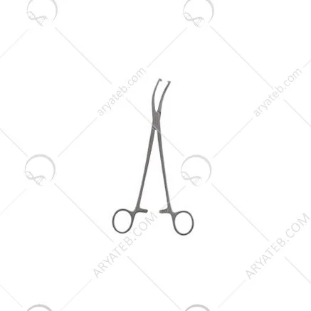 جاکوبس والسلوم