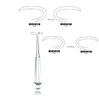 پریوست دنده دویان