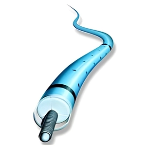 کاتتر مک نامارا