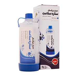 دمیار بزرگسال