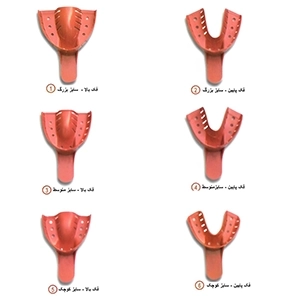 تری تمام فک آسورت تکسان