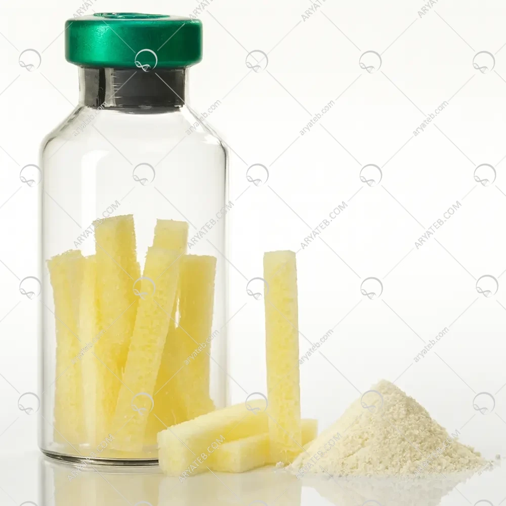 کنسلوس مچستیک