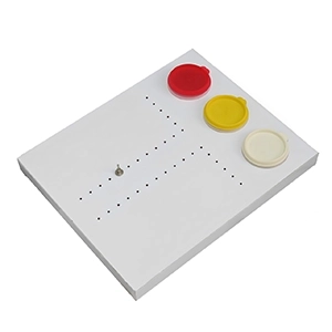 پرد و پگ برد