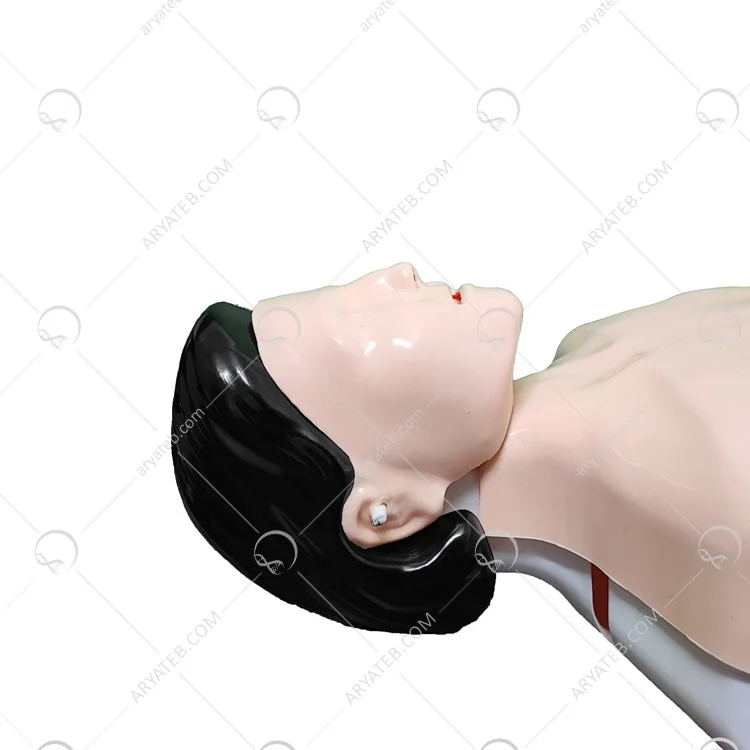 مانکن نیم تنه سی پی ار