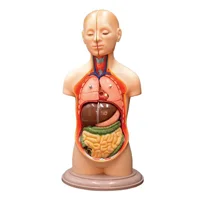 مولاژ نیم تنه با برش سر