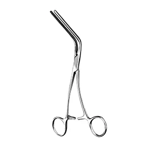 پنس دوبیگی موریس