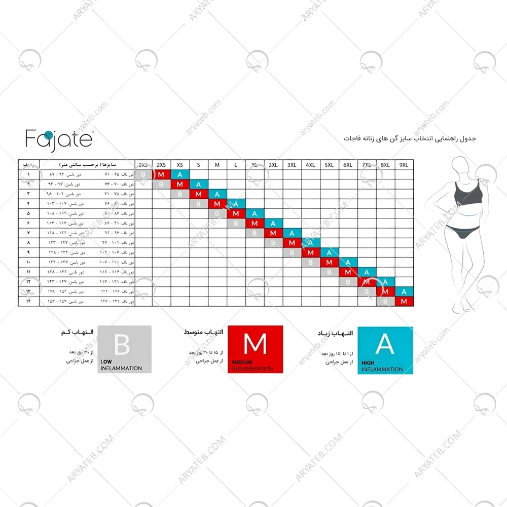 گن طبی لیپوماتیک کل بدن فاجات 11103