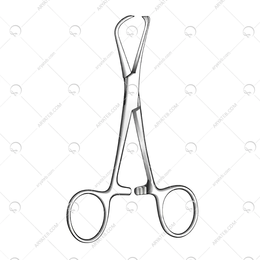 شانگیر آلیسی