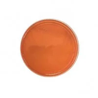 ﻛﻠﺴﺘﺮﻳﺪﻳﻮم سلکتیو آگار Clostridium Selective Agar
