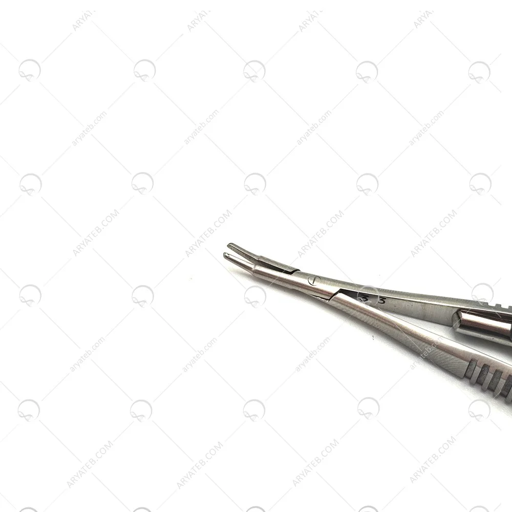 سوزنگیر چشمی