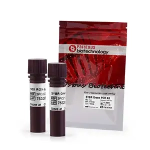 مستر میکس 2X ریل تایم سایبرگرین