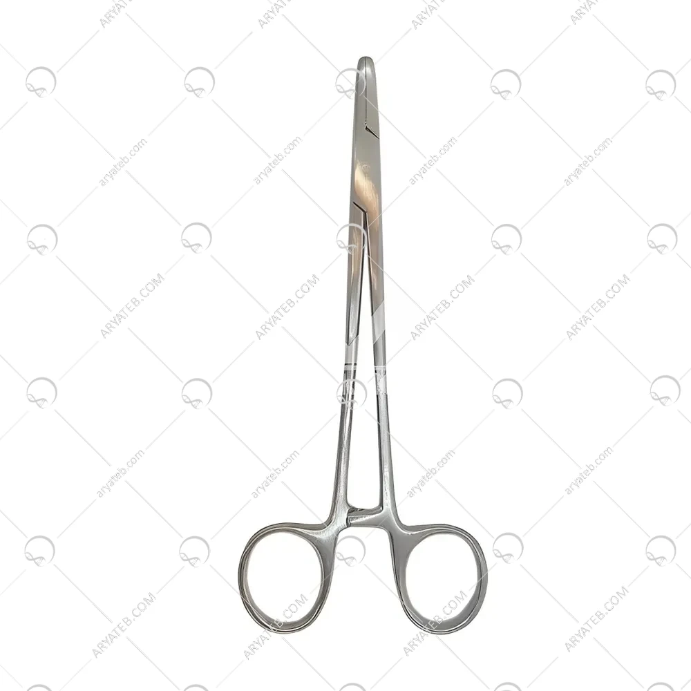 پنس سوزنگیر