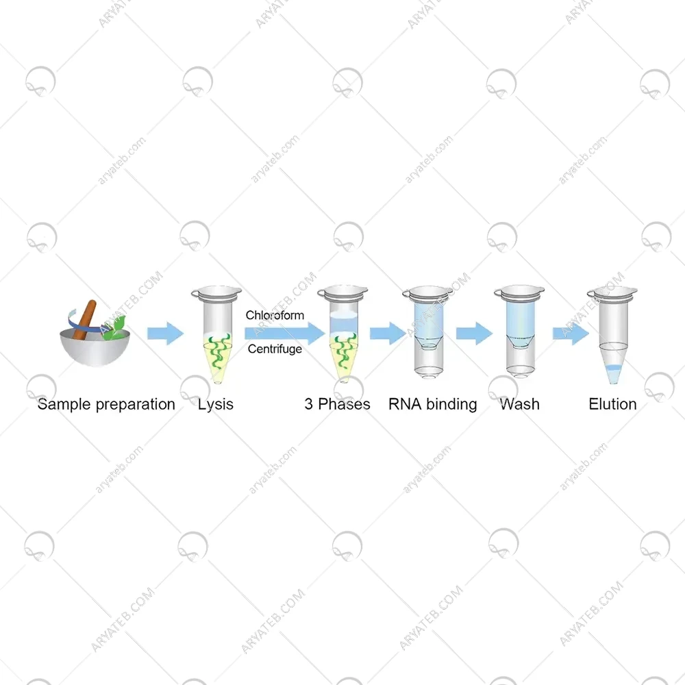 کیت استخراج RNA گیاهان